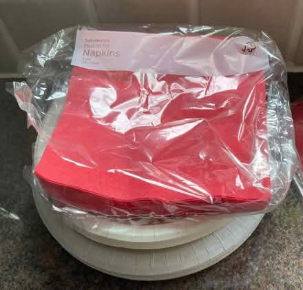 Photo of free Paper plates and bowls/red paper napkins (Kingston Bagpuize OX13) #2