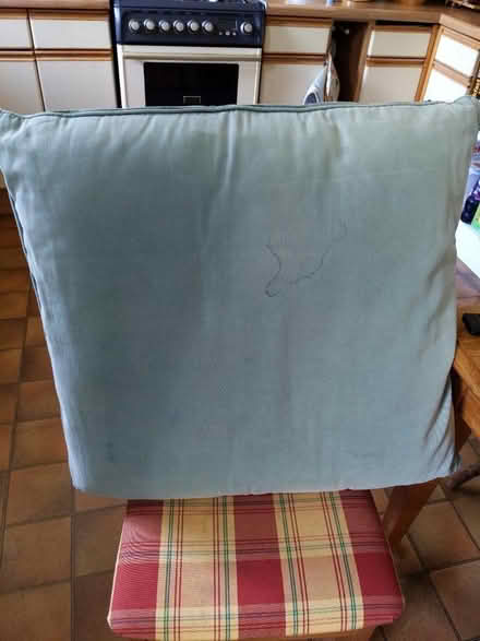 Photo of free Two large floor cushions (Cassiobury, Watford WD17) #2