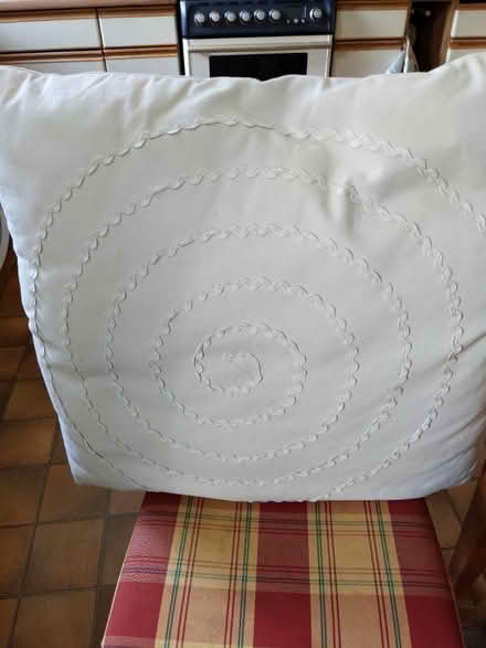 Photo of free Two large floor cushions (Cassiobury, Watford WD17) #3