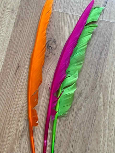 Photo of free Feather pen (Limehouse E1W) #1