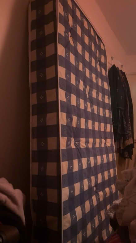 Photo of free Single Mattress (1 Torre Grove) #1
