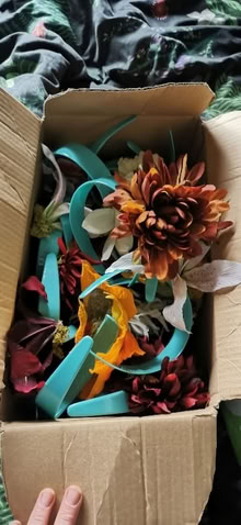 Photo of free Plastic headbands with flowers (Robinswood GL4) #1