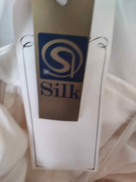 Photo of free Silk Wedding Dress (Broxbourne EN10) #4