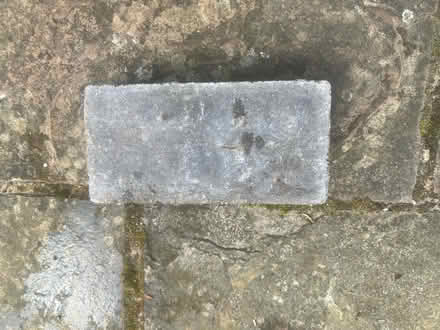 Photo of free Edging bricks (Ryton NE40) #3