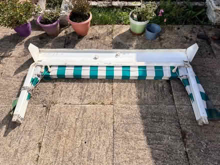 Photo of free Canopy (Whitnash CV31) #2