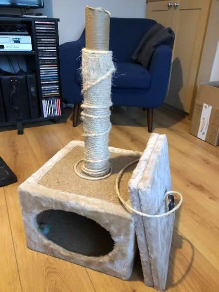 Photo of free Pieces of a cat tree (Whitton TW3) #1