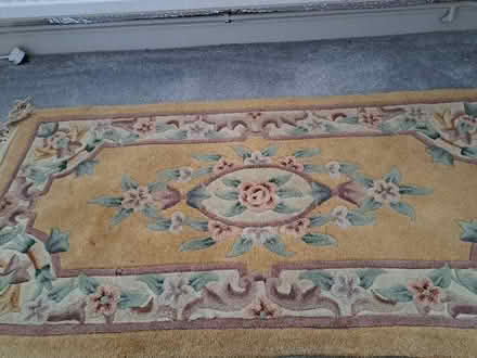 Photo of free Rug #3 (TN24) #1