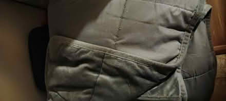 Photo of free Adult weighted blanket twin bed (Eatontown) #1