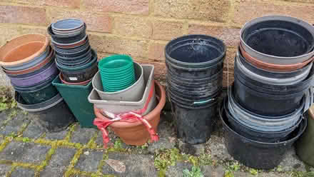 Photo of free Plastic plant pots (Kempshott RG22) #1