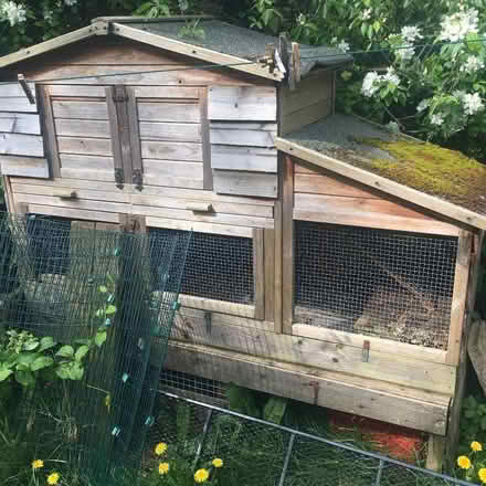 Photo of free Rabbit hutch (New Marston OX3) #1
