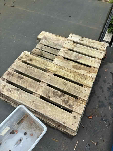 Photo of free Wooden Pallets (Kew Gardens TW9) #1