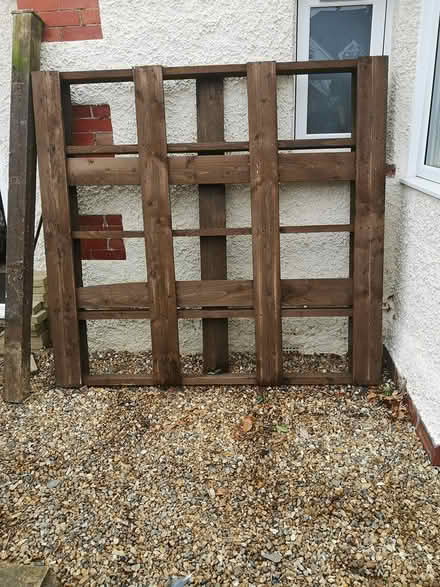 Photo of free Large, solid pallet, stained (Guildford GU4) #3