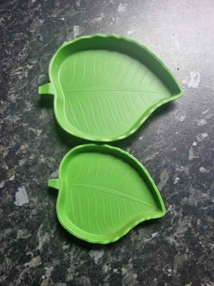 Photo of free Water/feeding dishes (Matchborough East B98) #1