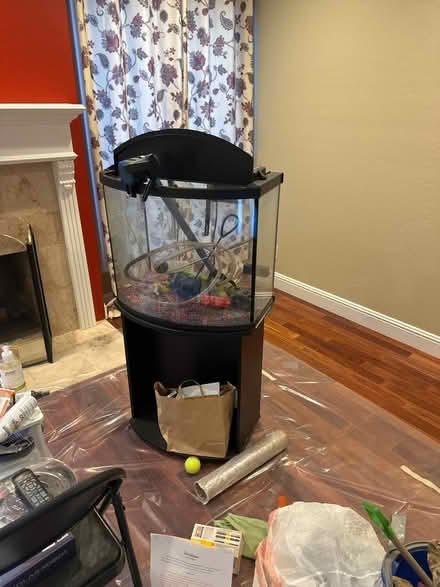 Photo of free Aquarium & supplies (Sunnyarts) #1