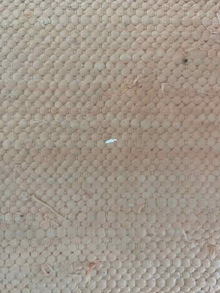 Photo of free Faded red rug (S7 Nether Edge) #2