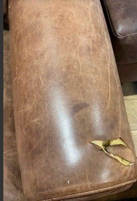 Photo of free Leather armchair (KT22) #2