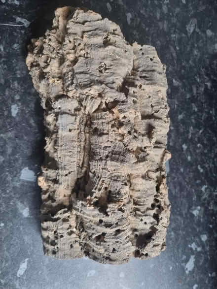 Photo of free Cork Bark Tunnel (Matchborough East B98) #2