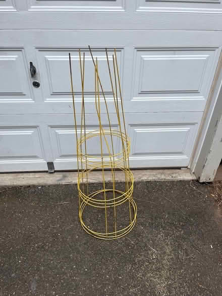 Photo of free 3 Yellow Tomato Cages (Highland Park) #1
