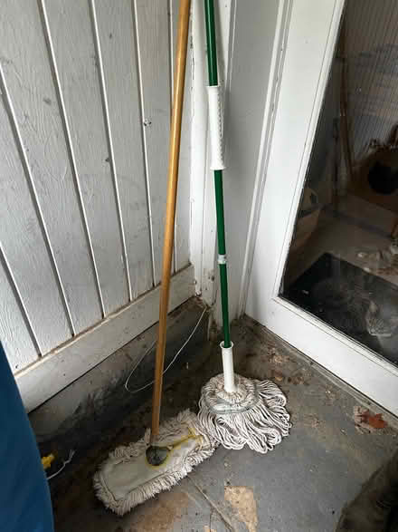 Photo of free Mops - just flat one left (Palisades, NW, WDC) #1