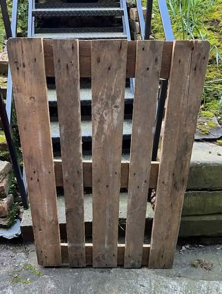 Photo of free Pallet 1.2 x 0.8m (Corstorphine EH12) #1