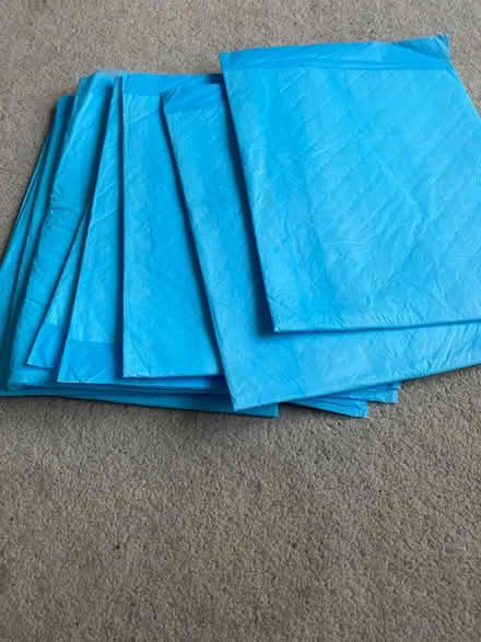 Photo of free Puppy Training Pads (Abbey Wood) #1