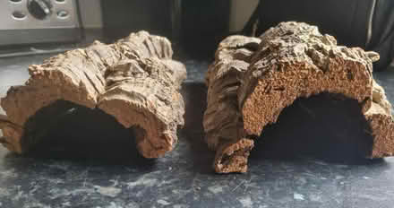 Photo of free Two cork bark tunnels (Matchborough East B98) #1