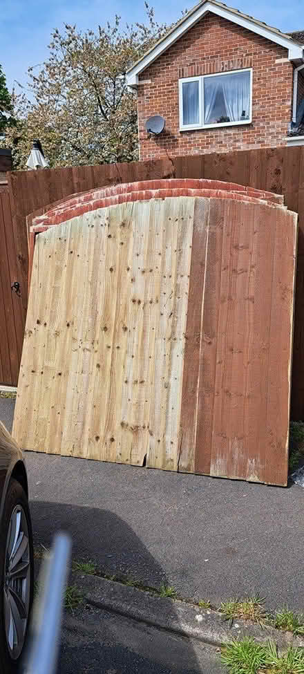 Photo of free Fence panels (Cheltenham. GL50) #2