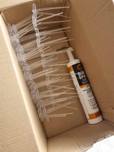 Photo of free Bird / Pigeon Spikes (Hartington Road BN2) #1