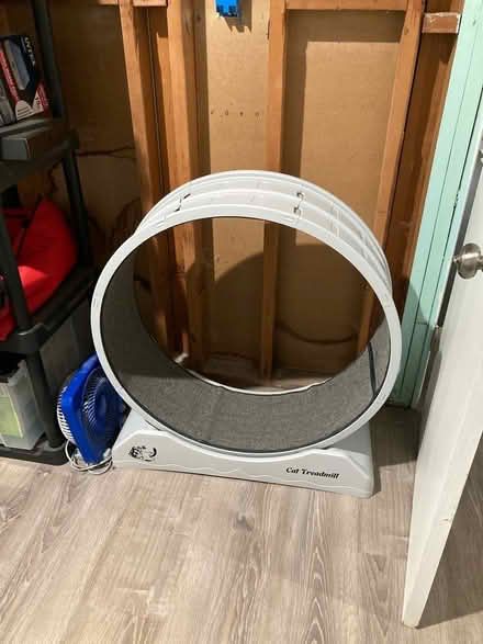 Photo of free Cat wheel (Lanham) #1