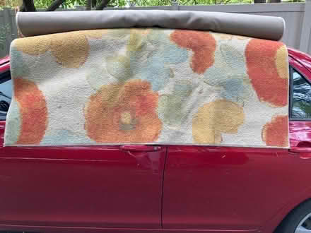 Photo of free Area rug (Lake Forest Park) #1