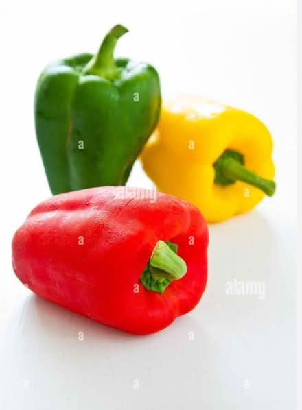 Photo of free Bell Pepper Seedlings (Whetstone Leicester LE8) #2