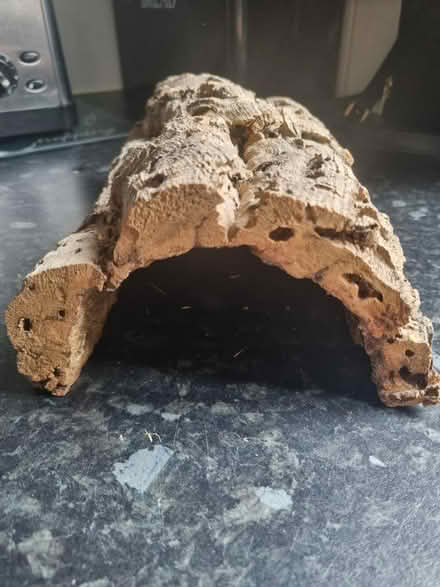 Photo of free Cork Bark Tunnel (Matchborough East B98) #1