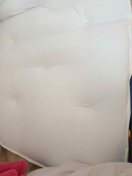 Photo of free Single mattress (Woodside SE25) #2