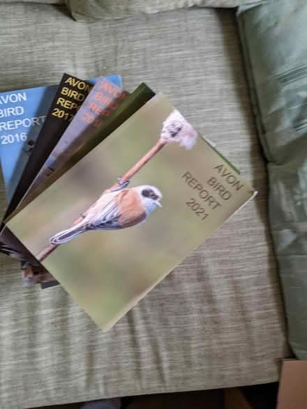 Photo of free Avon Bird Report 2006-21 (Nailsea BS48) #1