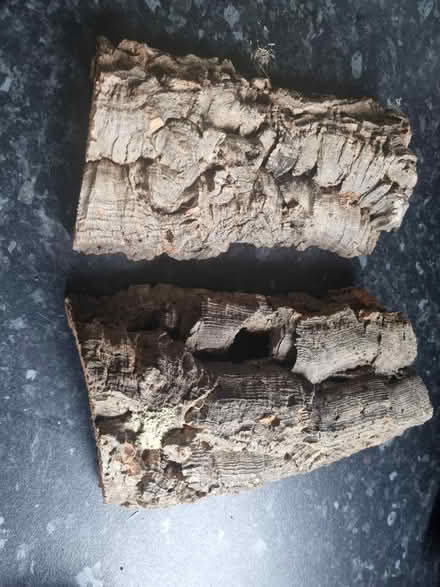 Photo of free Two cork bark tunnels (Matchborough East B98) #2