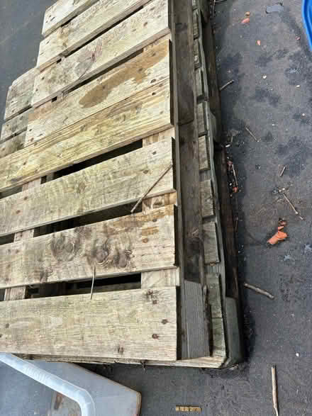 Photo of free Wooden Pallets (Kew Gardens TW9) #2