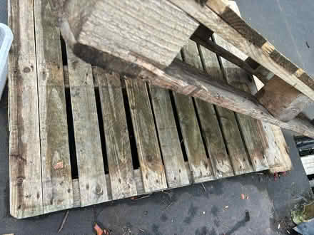 Photo of free Wooden Pallets (Kew Gardens TW9) #3
