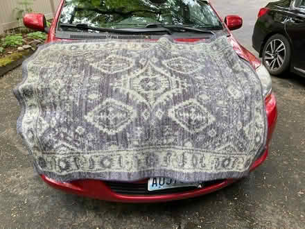 Photo of free Area rugs (Lake Forest Park) #1