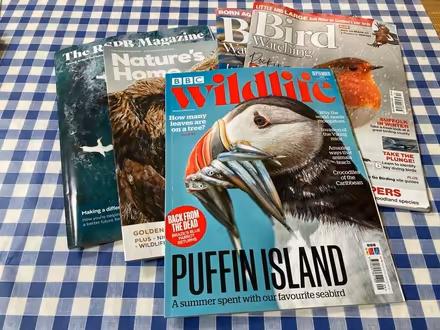 Photo of free Bird and wildlife magazines (Bear Flat) #1
