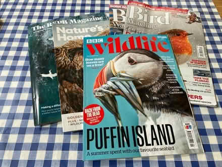 Photo of free Bird and wildlife magazines (Bear Flat) #1