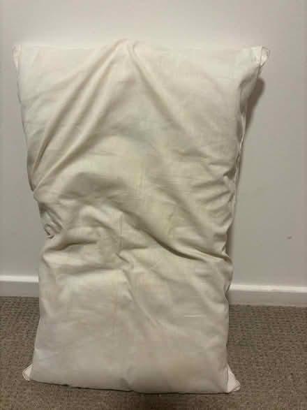 Photo of free Pillows (Portslade BN41) #1