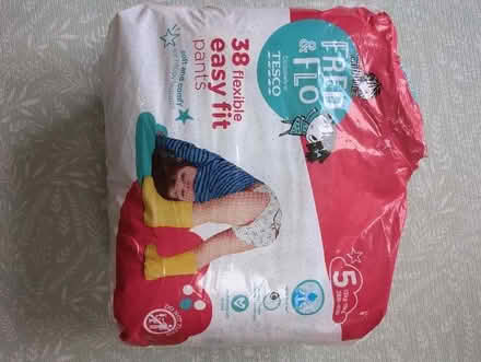 Photo of free Fred and Flo size 5 nappies (Lye Valley OX4) #1