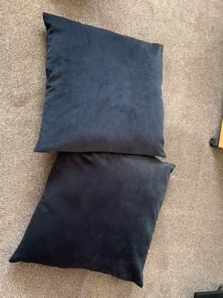 Photo of free 2 Black Cushions (Harold Wood RM3) #1