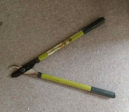 Photo of free Branch loppers (Market Place Kendal LA9) #2