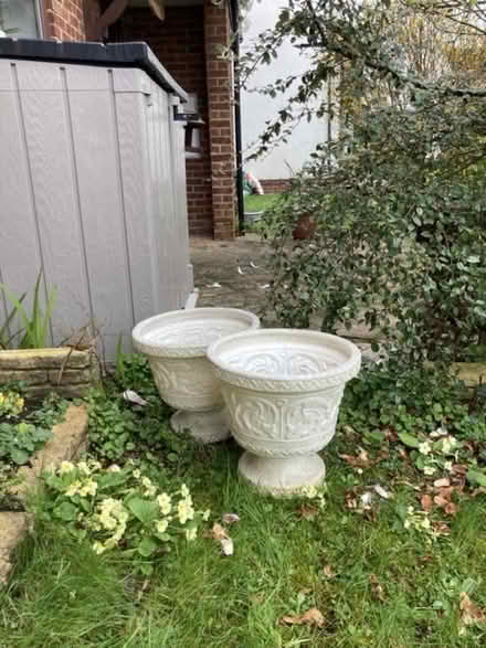 Photo of free Plant pots & trays (Rowanfield GL51) #2
