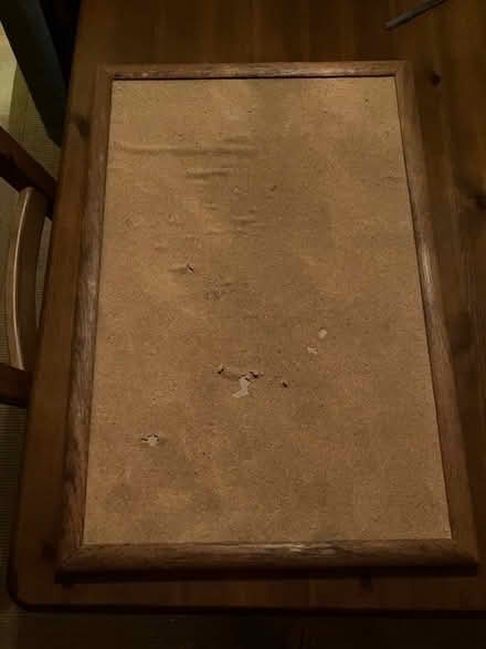 Photo of free cork board (sausalito) #1