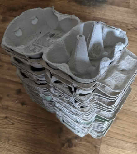 Photo of free 25 egg boxes (Rowde SN10) #1