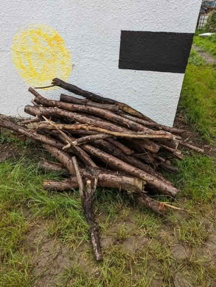 Photo of free Logs (BS7) #2