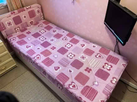 Photo of free Single bed & mattress (Alnwickhill EH16) #2