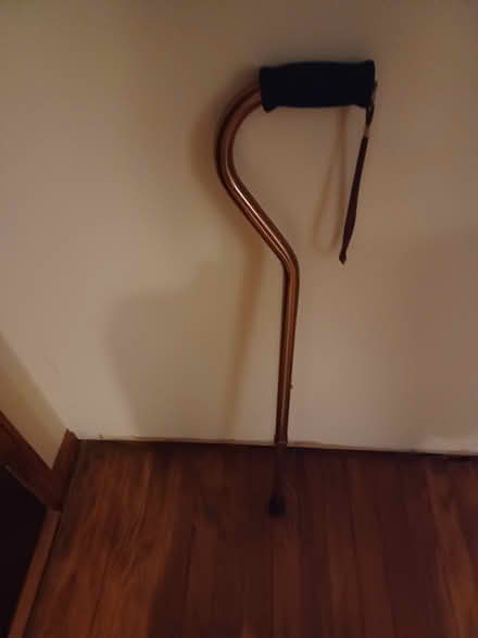 Photo of free Cane/ Mobility assistant (Golf & Waukegan) #1